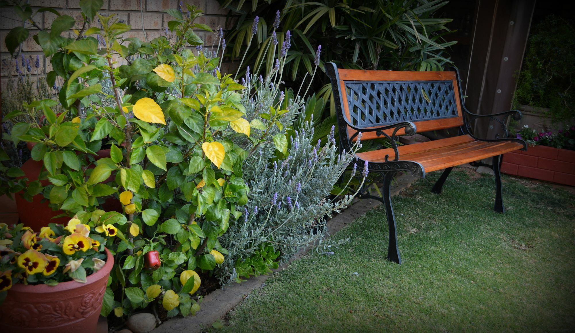 Kairos Home Middelburg  Luaran gambar